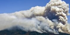 La Campania brucia e Vincenzo De Luca scompare! Grazie ai vigili del fuoco, ai carabinieri forestali e ai tanti volontari che stanno lavorando senza sosta!